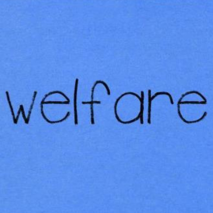 contenzioso studio lp